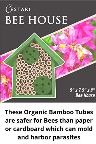Mason Bee Houses and Supplies (Forest Green)