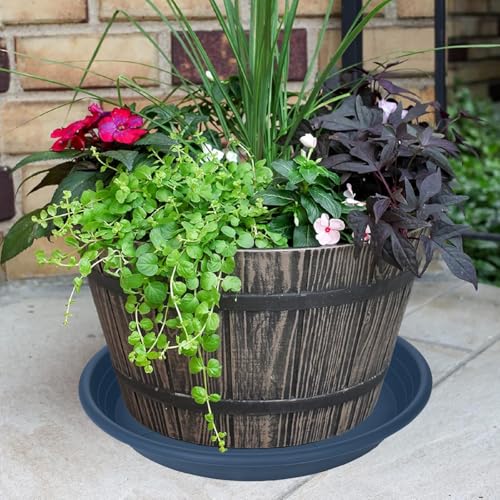 2 Pack of 19 inch Plant Saucer (19" (2 pack) / Blue)