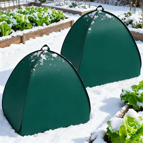 2 Pcs Pop Up Shrub Covers Frost Protection Tent (36 x 36 x 38 inch)