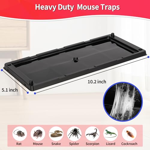 Sticky Mouse Trap (60 Count)