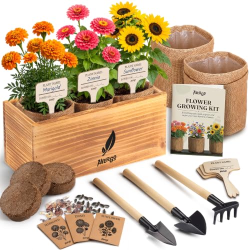 Sunflower Marigold & Zinnia Flower Seeds Growing Kit