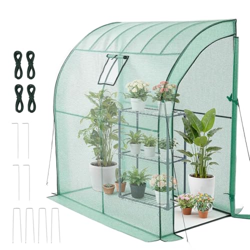 Walk in Greenhouse (Green / 6.5x3.3x6.6 ft)