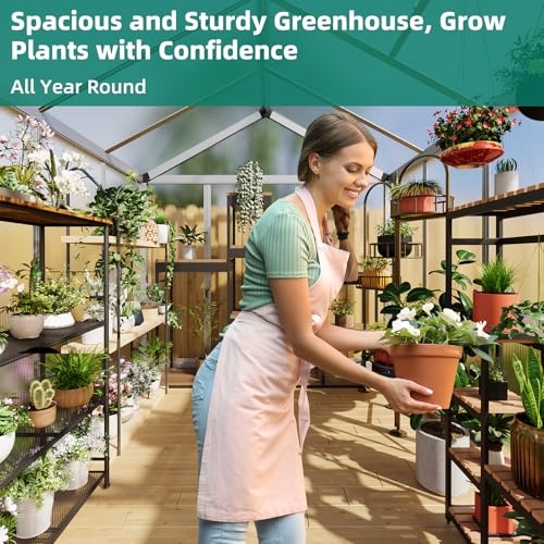 6x8 FT Greenhouse (Silver / 6x8 FT)
