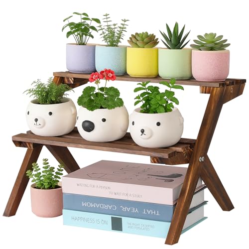 2 Tier Desktop Plant Stand