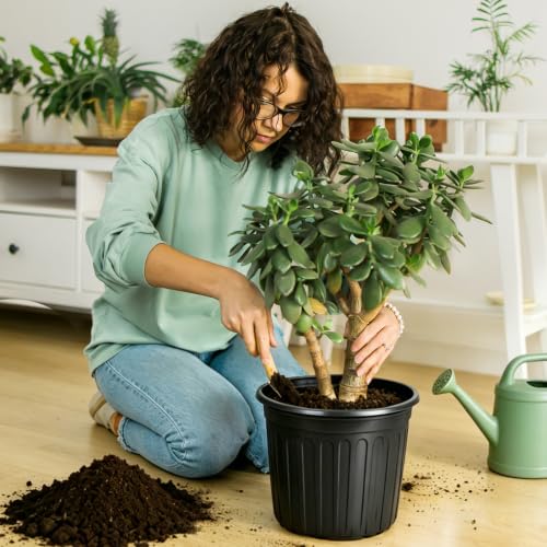 50 Pack 3 Gallon Black Flexible Flower Plant Nursery Pots (3 Gallon / 50P)