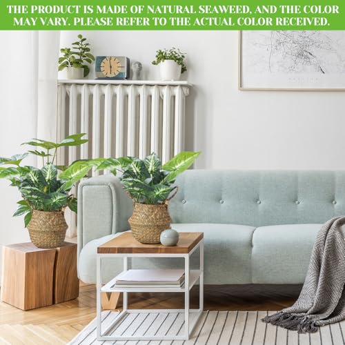 4 Pcs Woven Seagrass Baskets Belly Basket (4 Count)
