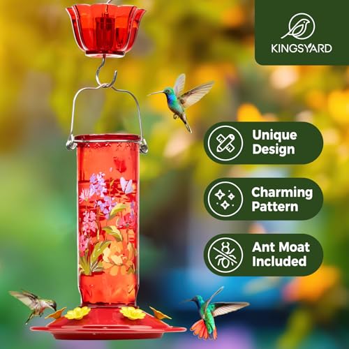 2 Pack Hummingbird Feeders for Outdoor Hanging (Red)