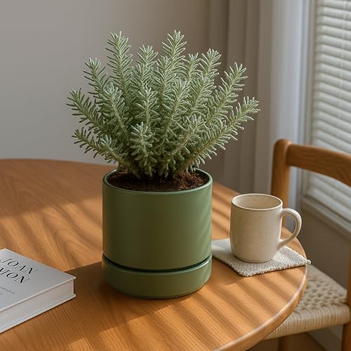 6 Inch Planter Pot with Drainage Hole & Saucer (6" (2 Pack) / Olive)