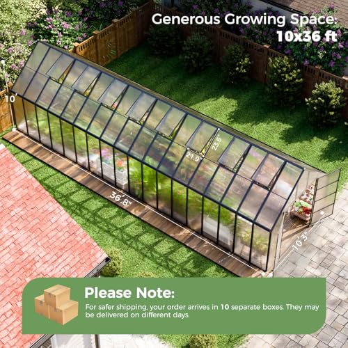 36x10x10 FT Polycarbonate Greenhouse with 8 Roof Vents (36x10x10 FT)