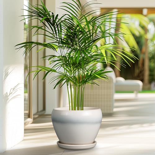 Ceramic Planter