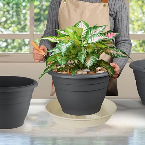 4 Pack Plant Saucer 12 inch (12"-4 Pack / Light_Green)
