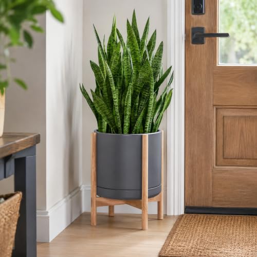 Ceramic Pot with Natural Wood Stand (14 Inch / Grey Pot + Natural Stand)