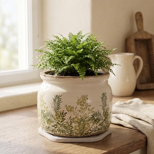 Cottage Ceramic Flower Pots with Decorative Saucer (Cottage Fern / 7.7 in - w/ Saucer)