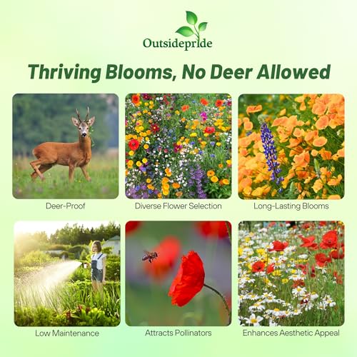 Deer Proof Wildflower Seed Mix (16 Ounce)
