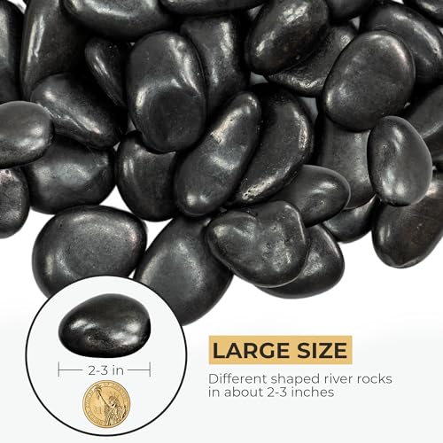 10lbs Black River Rocks