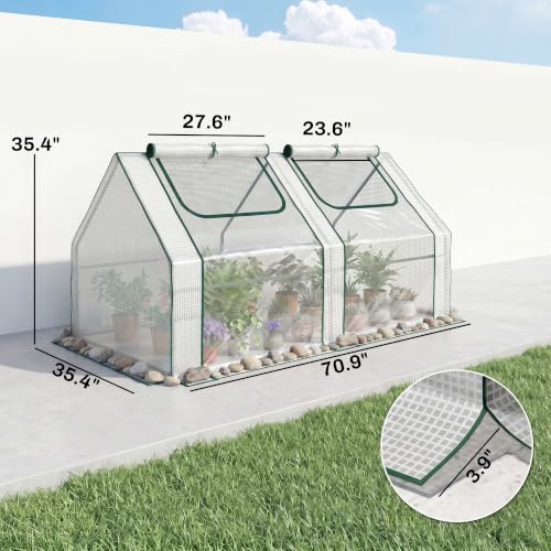 6' x 3' x 3' Portable Greenhouse with 2 PE (Clear / 6' x 3' x 3')