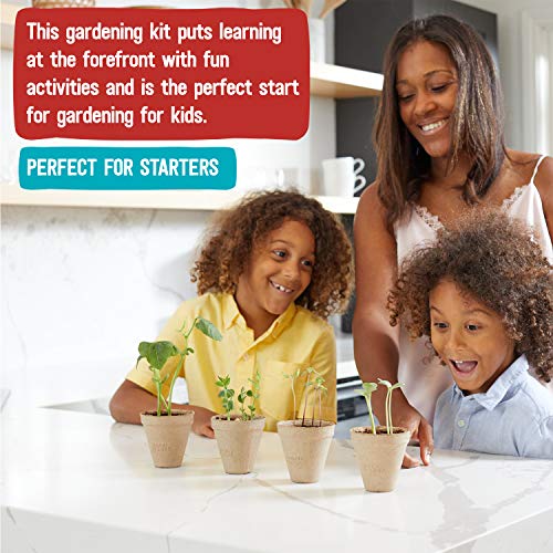 Kids Science Grow Kit (Bean and Watermelon Kit)