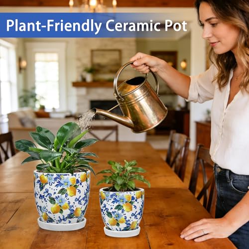 5.3+4.3 inch Ceramic Plant Pots (Lemon Patterns)