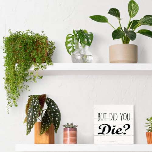 Funny Desk Signs (Inspirational09)