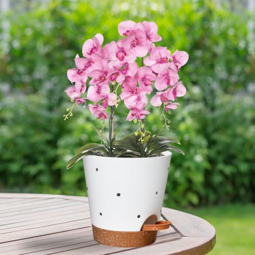 Orchid Pots with Holes (White+brown-5pack)