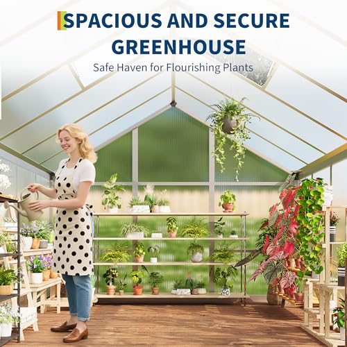 8x12 FT Greenhouse for Outdoors (Silver / 8x12 FT)