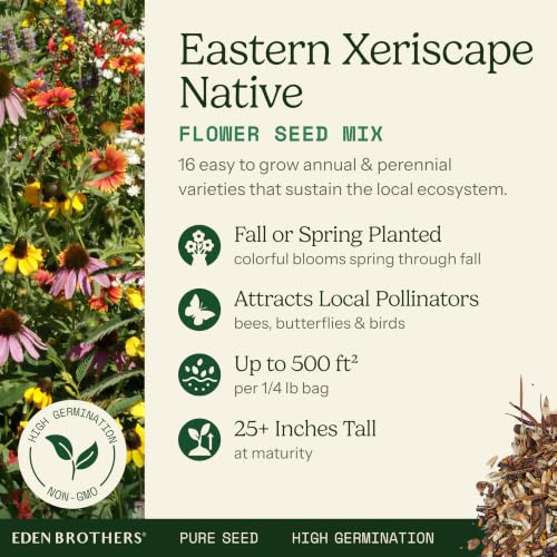 Native Eastern Xeriscape Flower Seed Mix (1/4 Pound / Native Eastern Xeriscape)