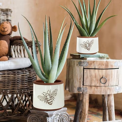 Terracotta Pots (6+4 Inch / White Bee)