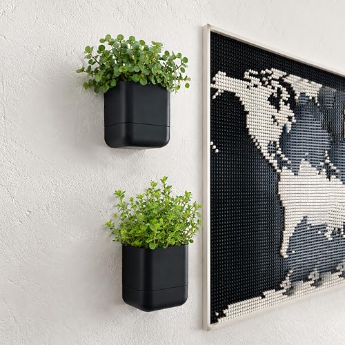 4.5 Inch Wall Mounted Self (4.5" (2 Pack) / Black)