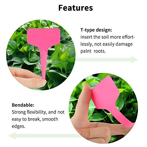 Pink Plant Labels (Pink)