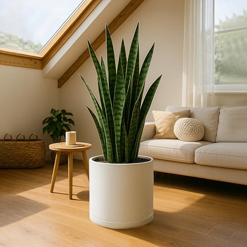 Plastic Planter Pot with Saucer (16 Inch / Oatmeal)