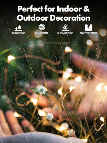 Solar String Lights (4 Count)