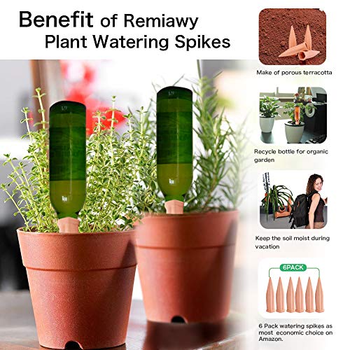Plant Watering Spikes (6 Count)