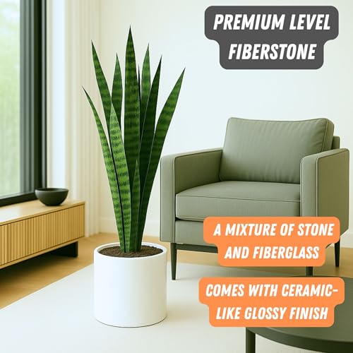 Large Planter for Indoor or Outdoor (Glossy White / 10 Inch)