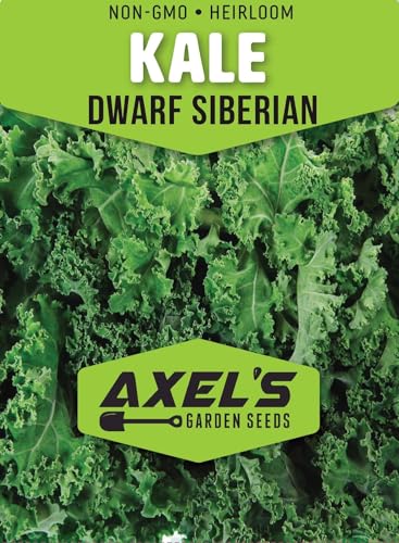 200+ Dwarf Siberian Kale Seeds for Planting