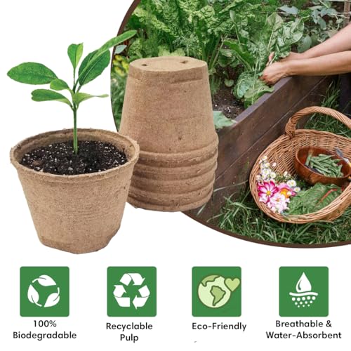 Seed Starter Kit