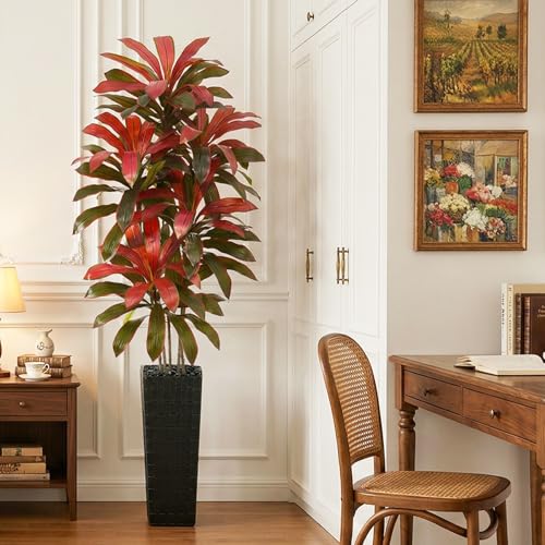 Artificial Dracaena Tree (Burgundy – Black Pot / 7FT)