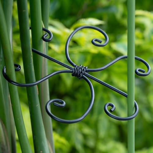 Monstera Plant Support 5.5IN (Black / 5.5IN*5.5IN)