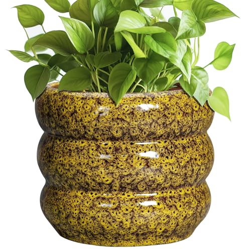 Ceramic Planter (8 Inch / Leopard Print Yellow)