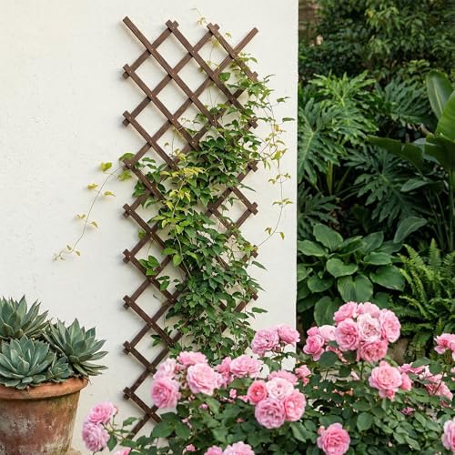 Expandable Wooden Lattice Panels Outdoor Garden Fence Trellis for Climbing Plants Roses Vines Cucumbers Weather Resistant Decorative Wood Privacy Fence (Brown-1PC / 38''x 89'')