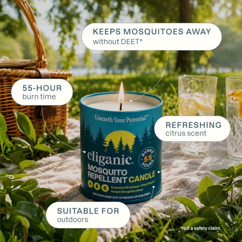 Citronella Candles Outdoor (16 Oz (Pack of 2))