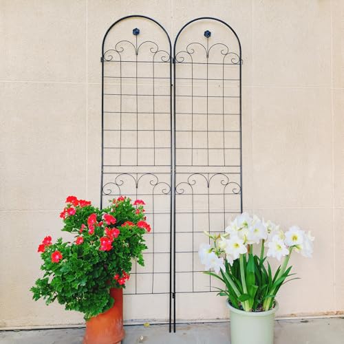 4 Pack Metal Garden Trellis for Climbing Plants (Black C-86.7"H)