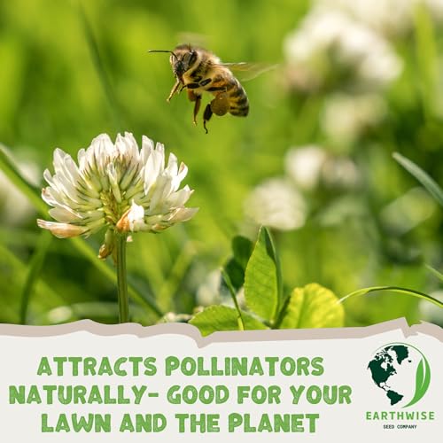 Earthwise Pollinator Paradise Native Wildflower Seed