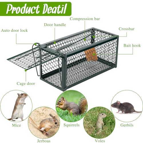 4 Pcs Rat Trap Live Animal Cage for Squirrel Chipmunk Mouse (Green)