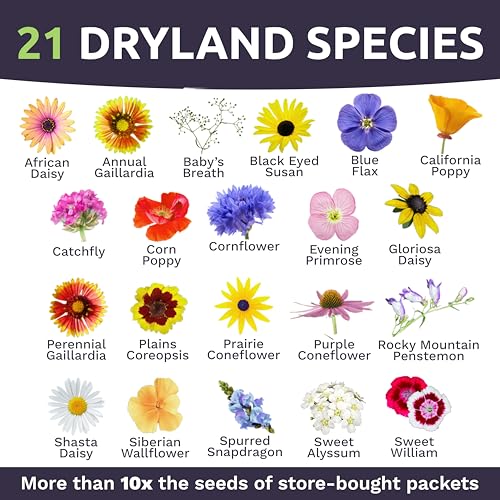 Drought Tolerant Wildflowers Mix (1 lb Bag)