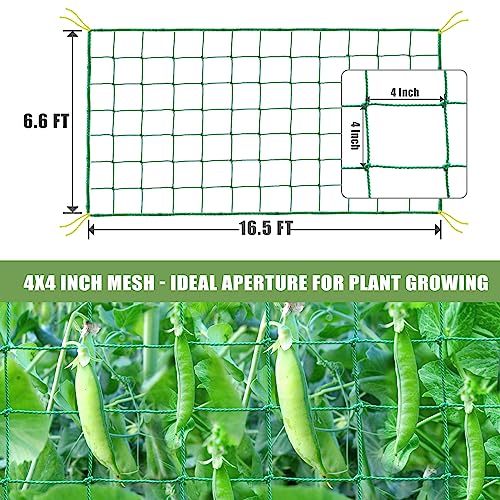 Trellis Netting for Climbing Plants