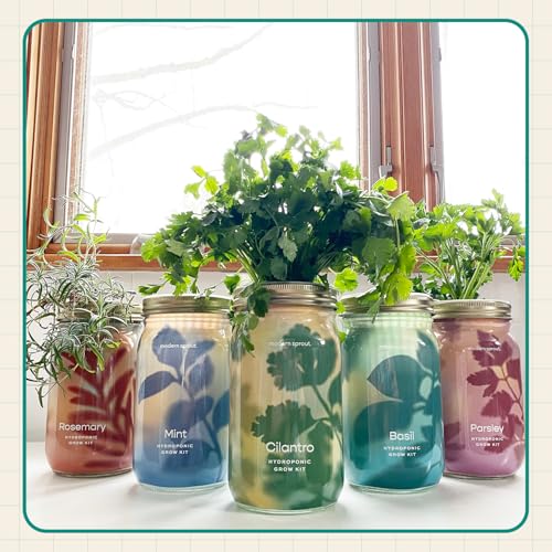 Mason Garden Jar (Garden Jars / Basil)