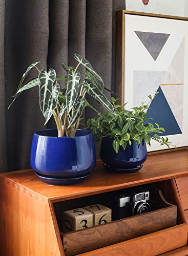 Plant Pots 4.1+5.1+6.5 inch (3 Count)