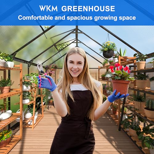8x10 FT Walk in Polycarbonate Greenhouse for Outdoors (8x10 FT)