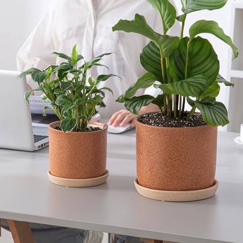 8 Inch Ceramic Plant Pot with Drainage Hole & Separate Saucer (Terracotta / 8 inch)