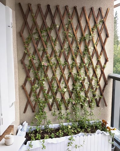 2 Pack 35.4InchWooden Lattice Wall (2 Packs / 1.5 x 7.2 ft)